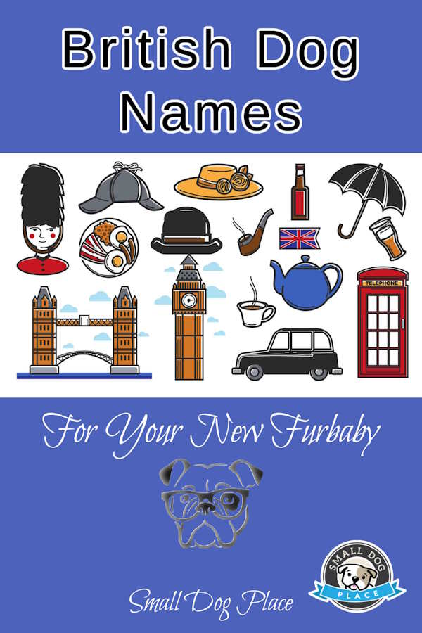 British Dog Names Pin Image