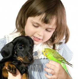 Guide to the Best Small Breed Dogs for Kids