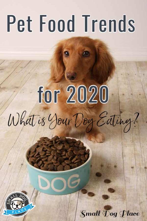 Pet Food Trends for 2020 What's Trending Small Dog Place