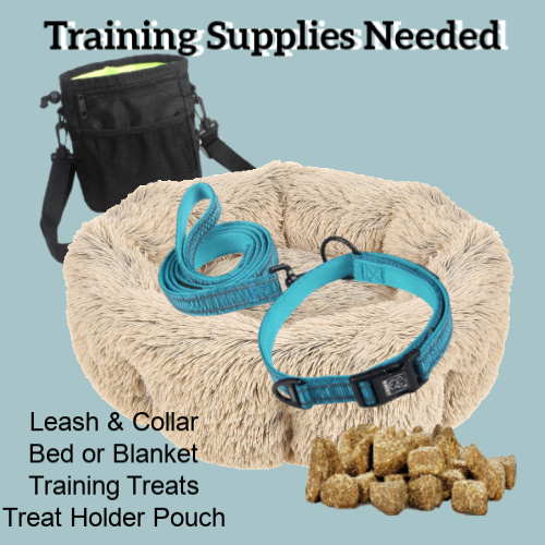 Supplies needed to teach the dog command, "Place"