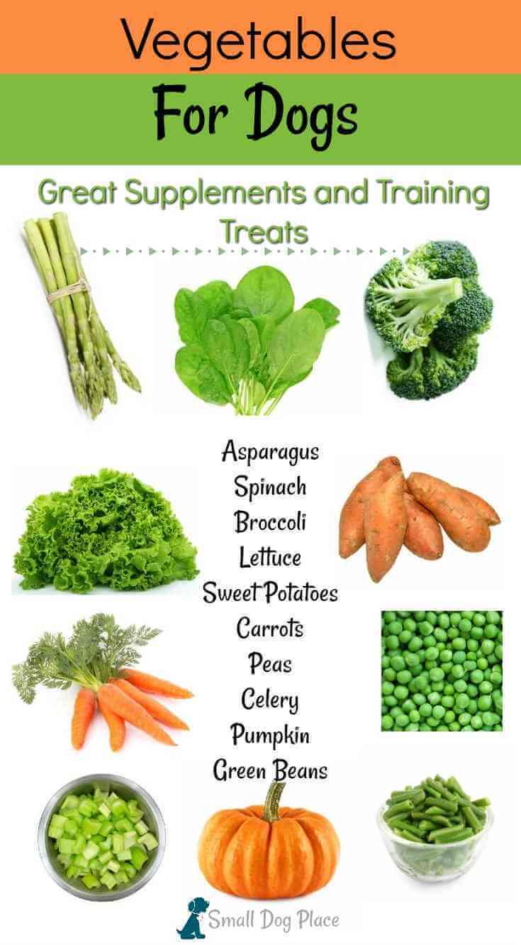 Vegetables for Dogs: 20 Nutritious 