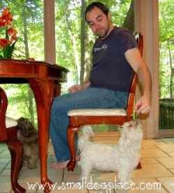 These dogs are learning how to beg at the table.