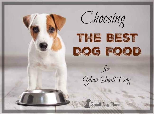 best dog food for small breed dogs