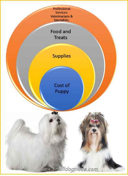 monthly cost of a dog