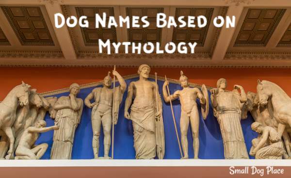 Great Dog Names From Mythology With Explanations And Meanings