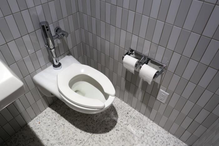 can you actually flush dog poop down the toilet