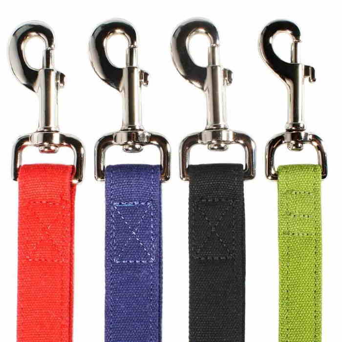 Dog Leashes: What Type of Lead Does Your Dog Need?