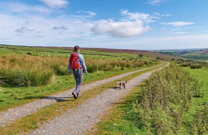 A woman with a small dog is walking on a path