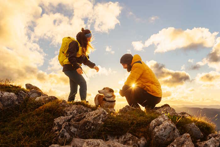 Two people are hiking with a dog