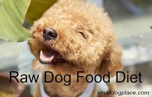 Raw dog food Diet