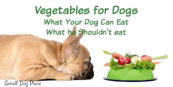 healthy dog treats vegetables