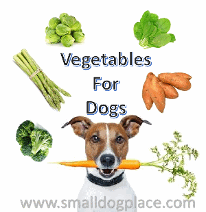 fruits and vegetables for dogs